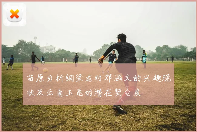 苗原分析铜梁龙对邓涵文的兴趣现状及云南玉昆的潜在契合度