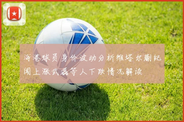 海港球员身价波动分析维塔尔蒯纪闻上涨武磊等人下跌情况解读