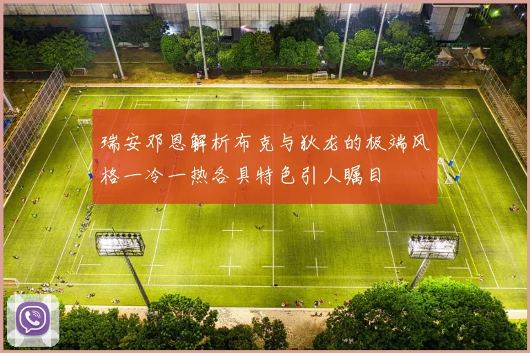 瑞安邓恩解析布克与狄龙的极端风格一冷一热各具特色引人瞩目