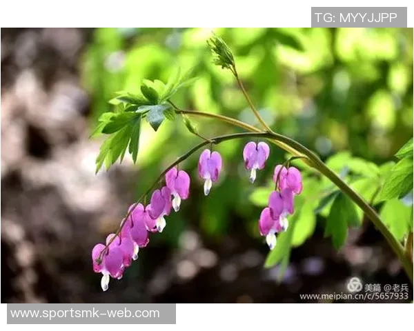 金特罗:我心中的河床如同皇家马德里南美足球赋予我无限可能 金特罗:我心中的河床如同皇家马德里南美足球赋予我无限可能